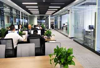 确山企业号网络推广运营公司