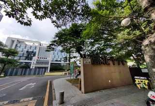 广东靠枕哪家好