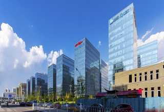 杨浦区正规撸猫找哪家